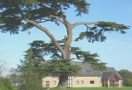Kirtlington Village Hall