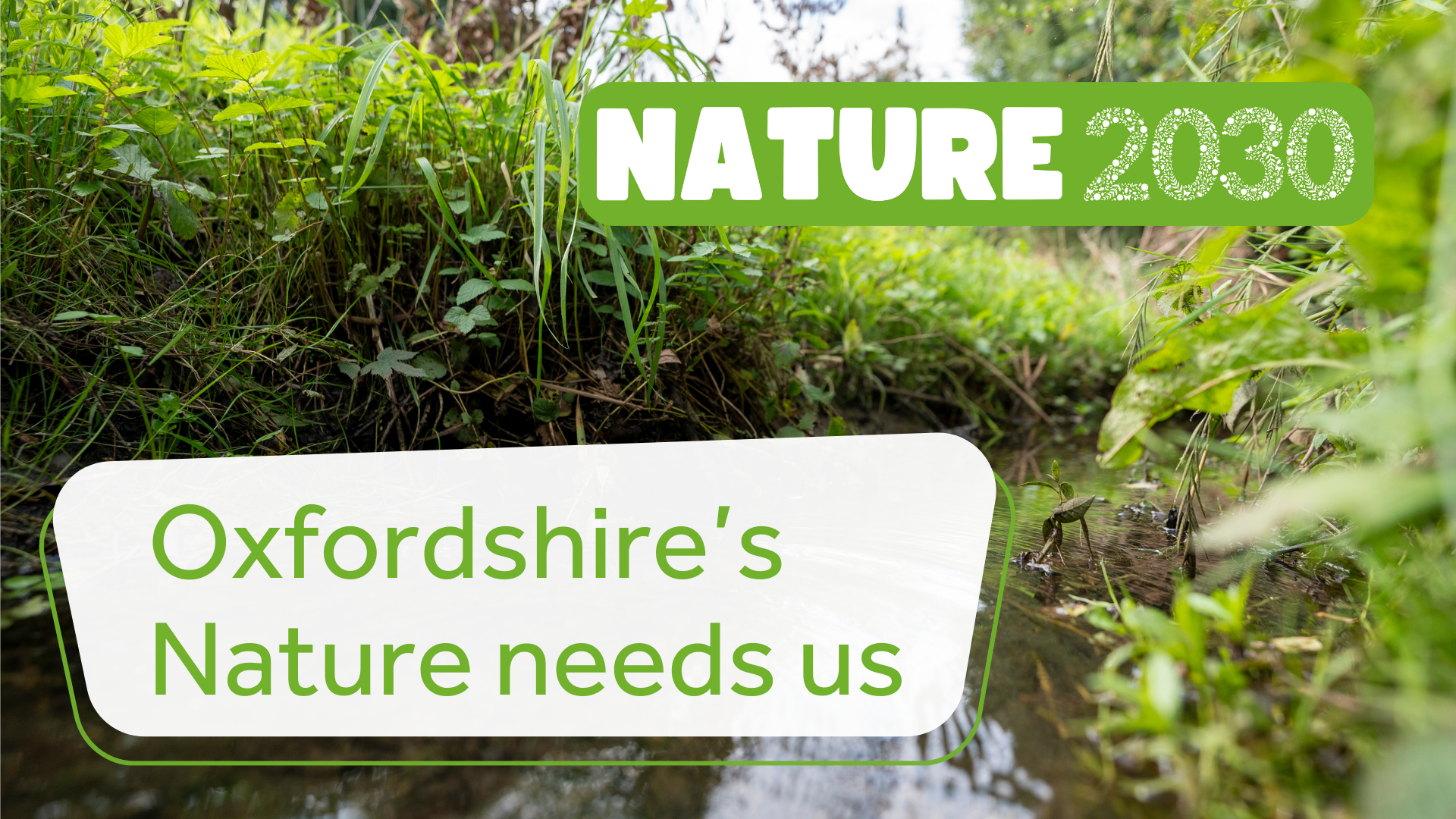 Oxfordshire’s Nature needs us feature