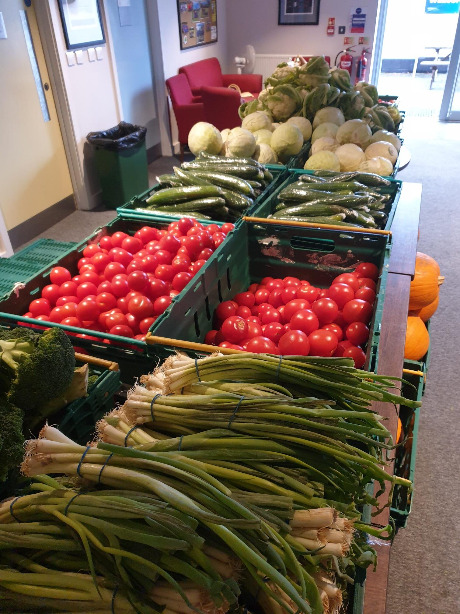 Rose-Hill-community-larder, crates of vegetables