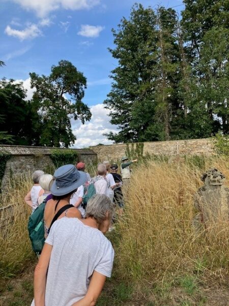 People walking down a path through a meadow
