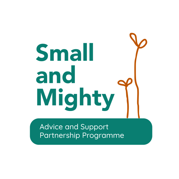Small and Mighty logo