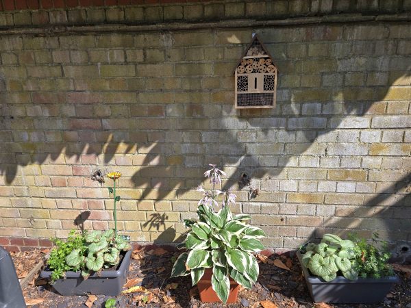 rockery wall after planting
